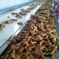 China yellow ginger factory offer, new crop fresh ginger export 2021